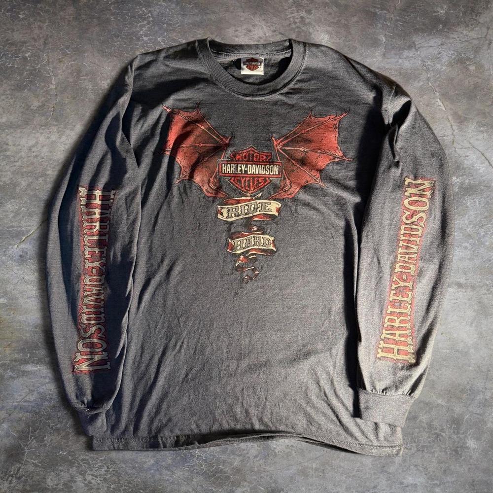 Harley Davidson Frieze O'Fallon IL Ride Hard Bat Wing LS Shirt Mens Hanes Beefy